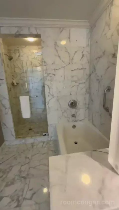 Standard View Suite, 1 Bedroom Suite, 1 King, Sofa Bed (#937) bathroom picture #9