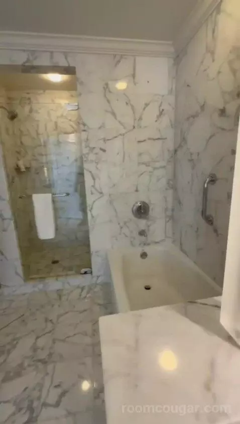Standard View Suite, 1 Bedroom Suite, 1 King, Sofa Bed (#937) bathroom picture #10