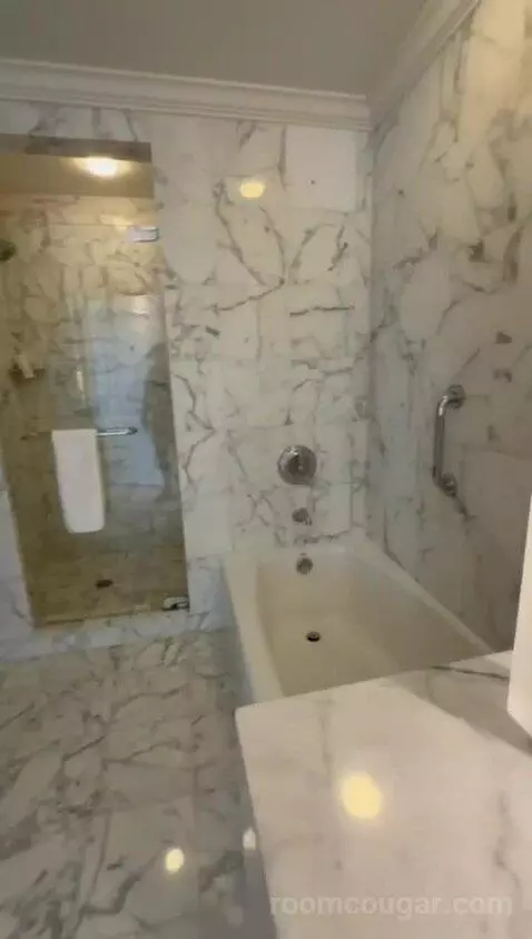 Standard View Suite, 1 Bedroom Suite, 1 King, Sofa Bed (#937) bathroom picture #11