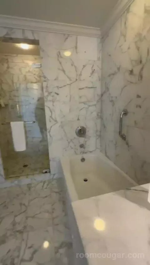 Standard View Suite, 1 Bedroom Suite, 1 King, Sofa Bed (#937) bathroom picture #12
