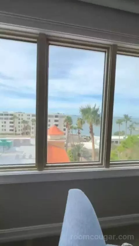 One-Bedroom Suite with Bay View and Balcony (#401) view picture #3