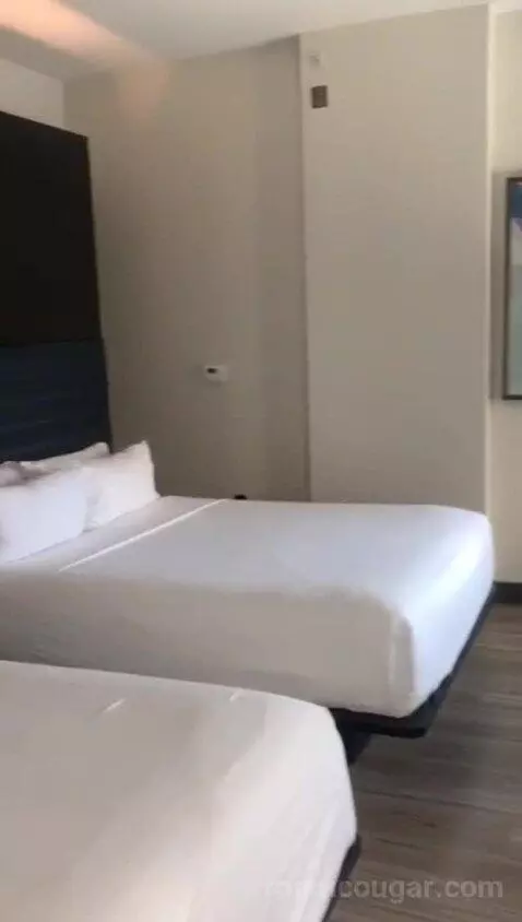 Aloft Double Queen with 2 Queen Beds (#611) bed picture #1