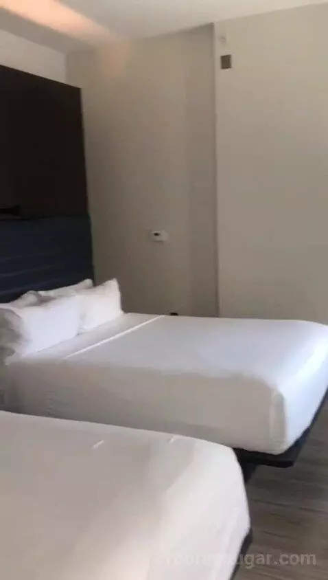 Aloft Double Queen with 2 Queen Beds (#611) bed picture #2