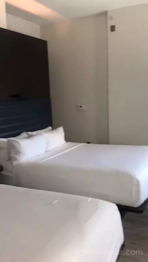 Aloft Double Queen with 2 Queen Beds (#611) bed picture #3