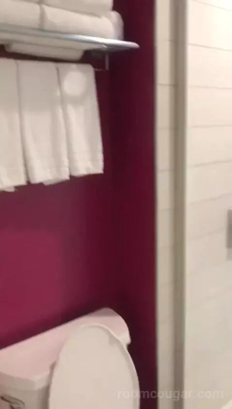 Aloft Double Queen with 2 Queen Beds (#611) bathroom picture #4