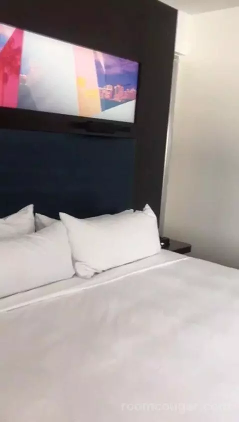 gotravel's review preview (Aloft Sarasota)
