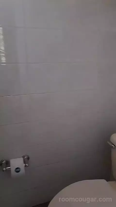 Standard Double Room (#802) bathroom picture #6