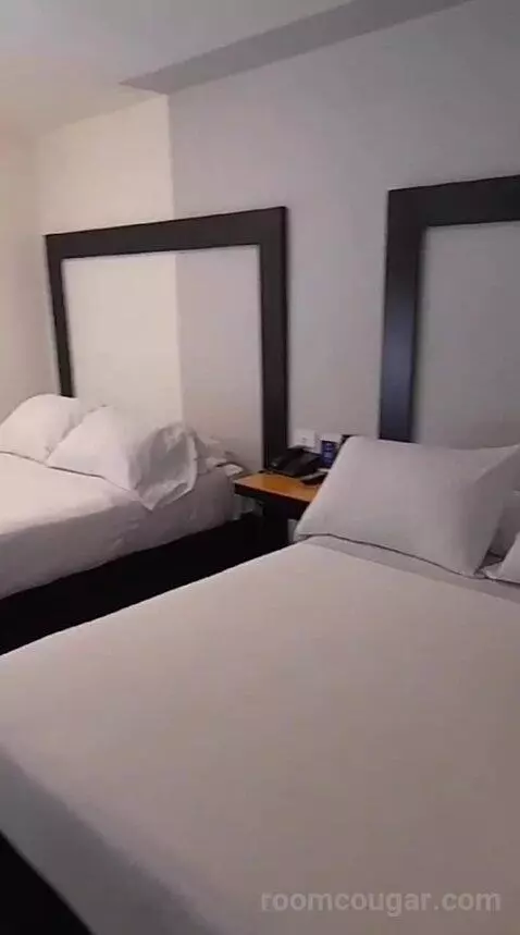Standard Double Room with Two Double Beds (#302) bed picture #3