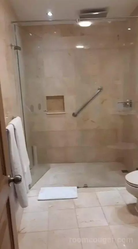 Deluxe Twin Room (#617) bathroom picture #2
