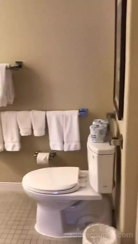 Mobility Accessible Traditional King Kitchenette (#1114) bathroom picture #3