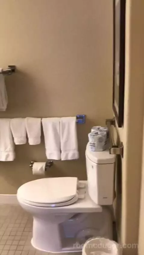 Mobility Accessible Traditional King Kitchenette (#1114) bathroom picture #4