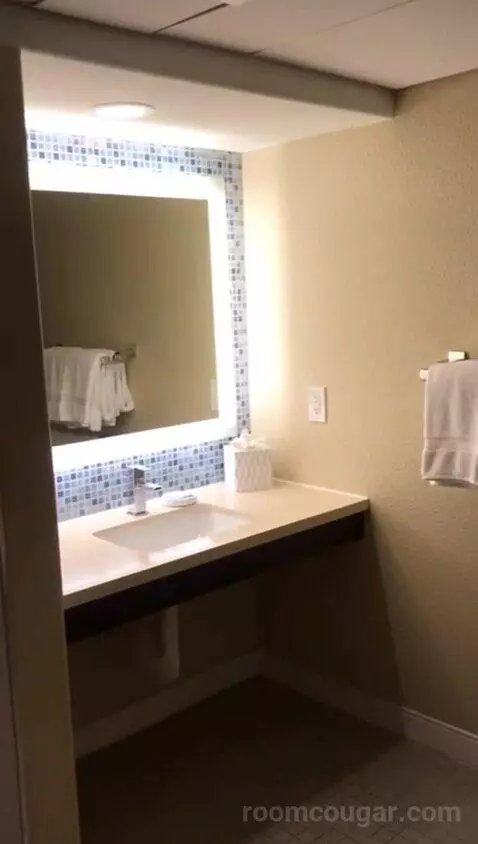 Mobility Accessible Traditional King Kitchenette (#1114) bathroom picture #5