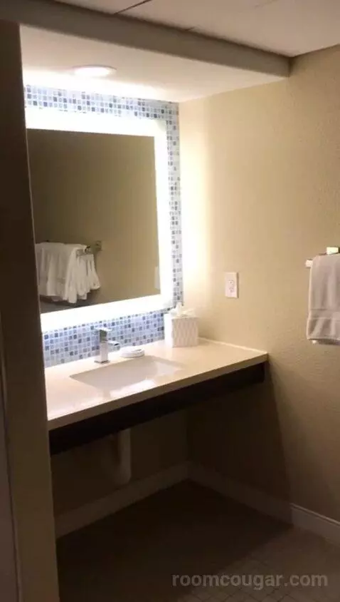 Mobility Accessible Traditional King Kitchenette (#1114) bathroom picture #6