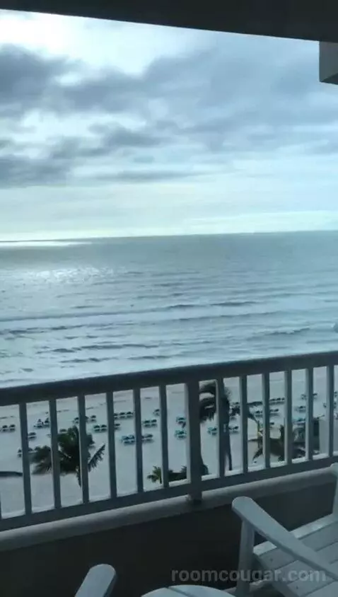 Palm Tower Two Queens Studio Suite - Beachfront (#8006) view picture #5