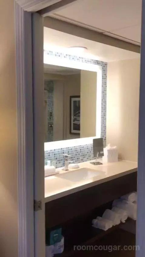 Two Bedroom Suite, One King, Two Queen, Partial Gulf View (#1013) bathroom picture #3