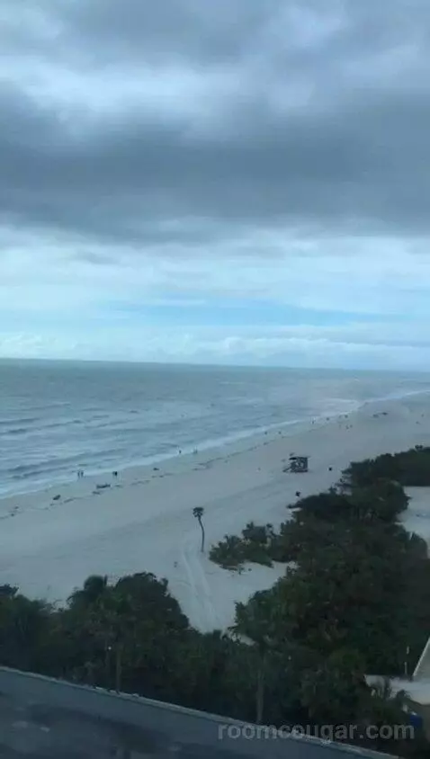 Two Bedroom Suite, One King, Two Queen, Partial Gulf View (#1013) view picture #4