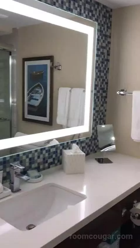 Tiki Tower King Kitchenette - Standard View (#217) bathroom picture #3