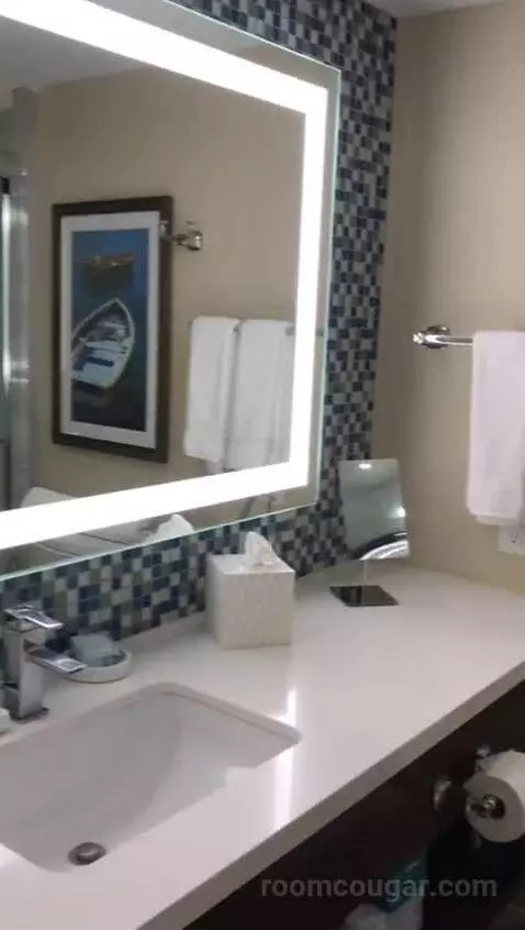 Tiki Tower King Kitchenette - Standard View (#217) bathroom picture #4