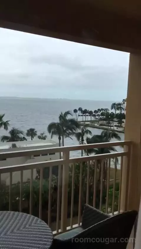 One Bedroom Suite with Bay View and Balcony, Accessible (#402) view picture #8