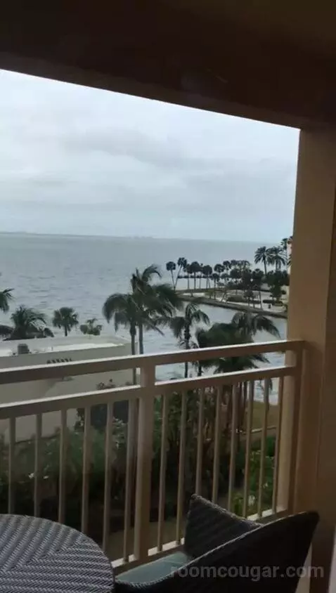 One Bedroom Suite with Bay View and Balcony, Accessible (#402) view picture #9