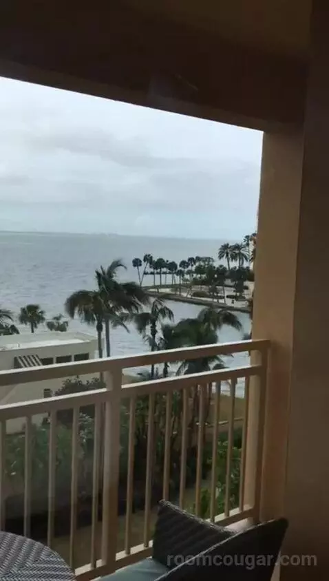 One Bedroom Suite with Bay View and Balcony, Accessible (#402) view picture #12