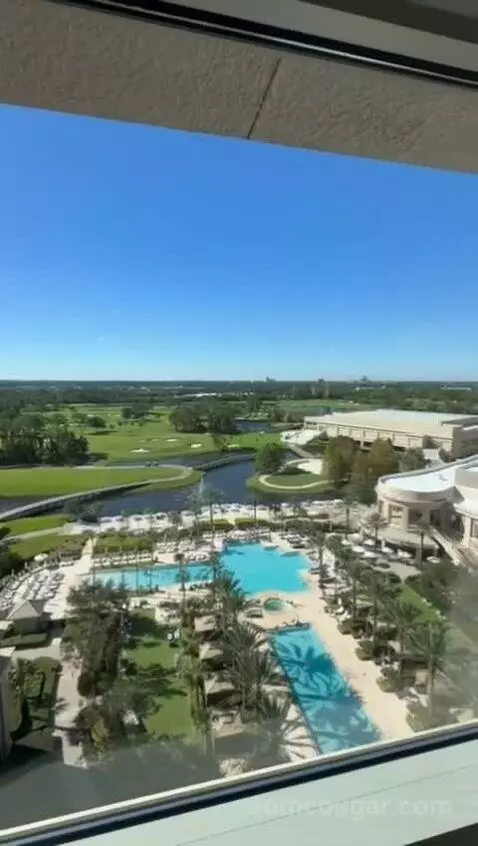 Queen Room with Two Queen Beds - Disney Firework View (#1223) view picture #5