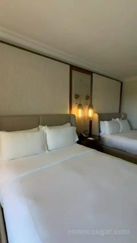 Queen Room with Two Queen Beds - Disney Firework View (#1223) bed picture #10