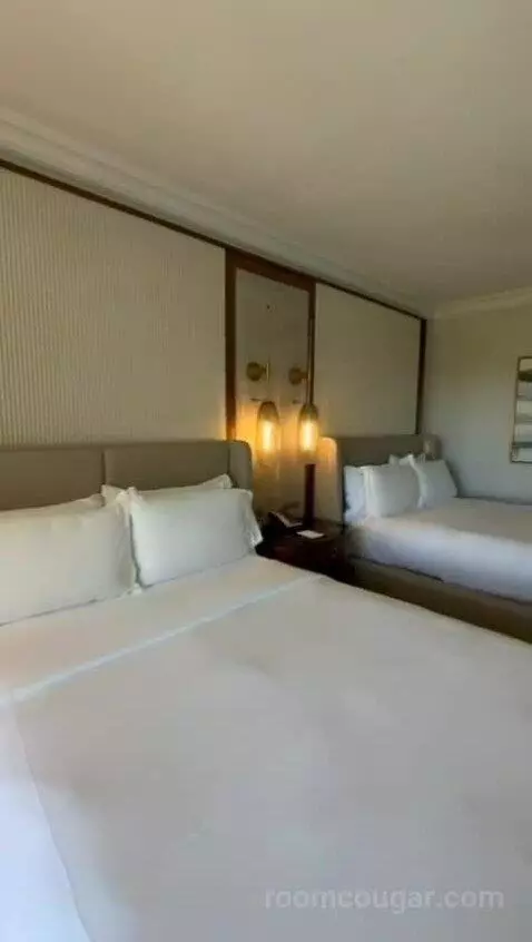 Queen Room with Two Queen Beds - Disney Firework View (#1223) bed picture #11