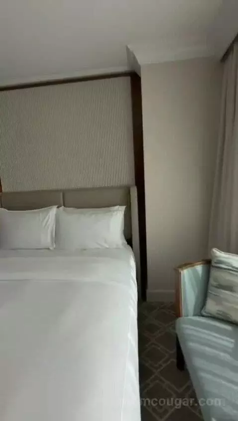 Deluxe Suite with Two Queen Beds - Limited View (#334) bed picture #4