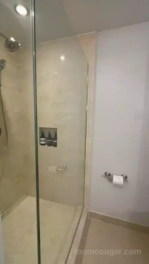 Deluxe King Room (#1022) bathroom picture #4