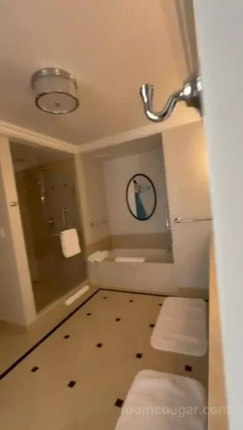 Corner Luxury King Suite with Balcony (#630) bathroom picture #1