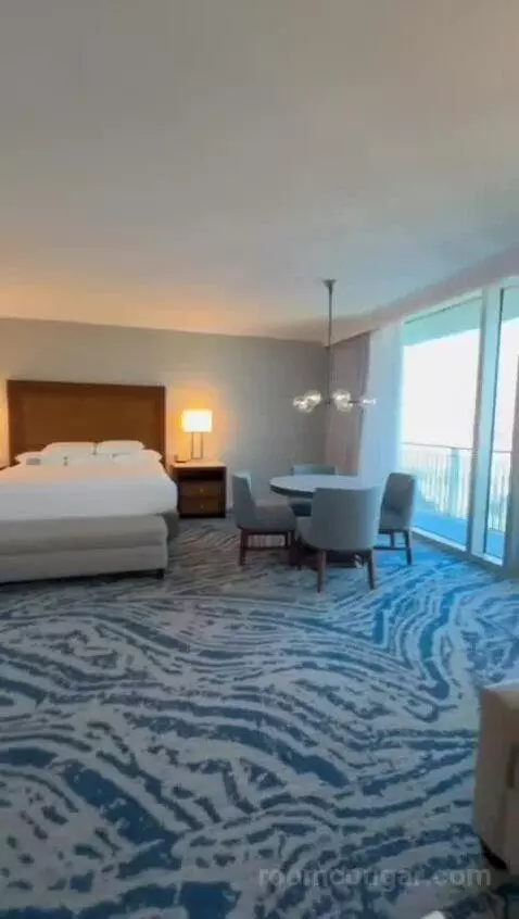 King Studio Suite (#21811) view picture #1