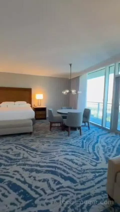 King Studio Suite (#21811) view picture #2