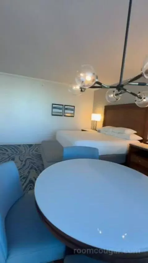 King Studio Suite (#21811) bed picture #3