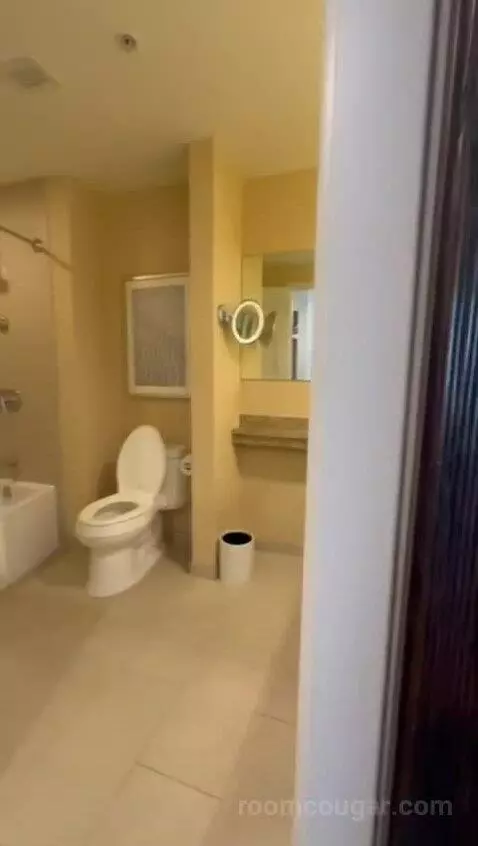 King Studio Suite (#21811) bathroom picture #1