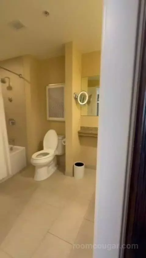 King Studio Suite (#21811) bathroom picture #2