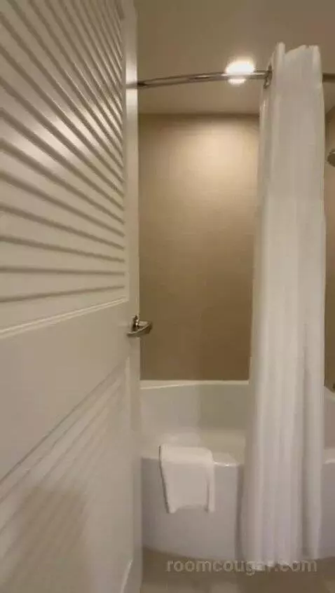 King Studio Suite (#21811) bathroom picture #3