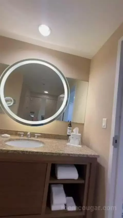King Studio Suite (#21811) bathroom picture #10