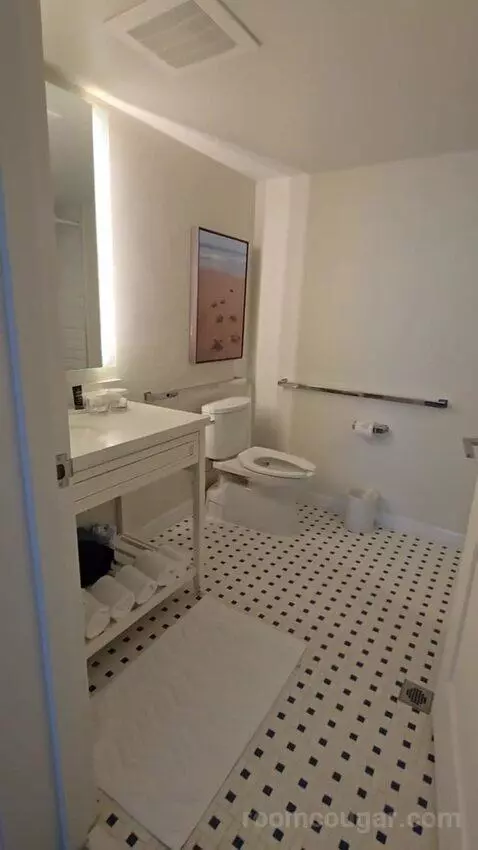 Mobility Accessible 2 BR Beach View Suite (#2703) bathroom picture #4
