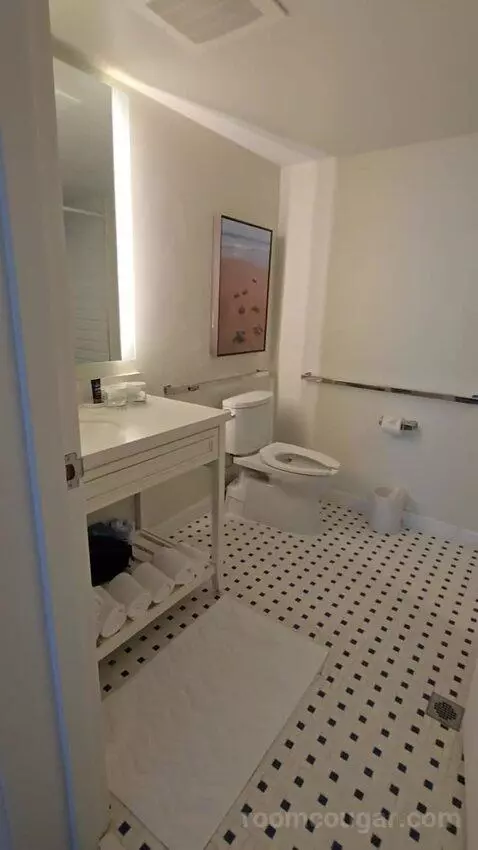 Mobility Accessible 2 BR Beach View Suite (#2703) bathroom picture #6