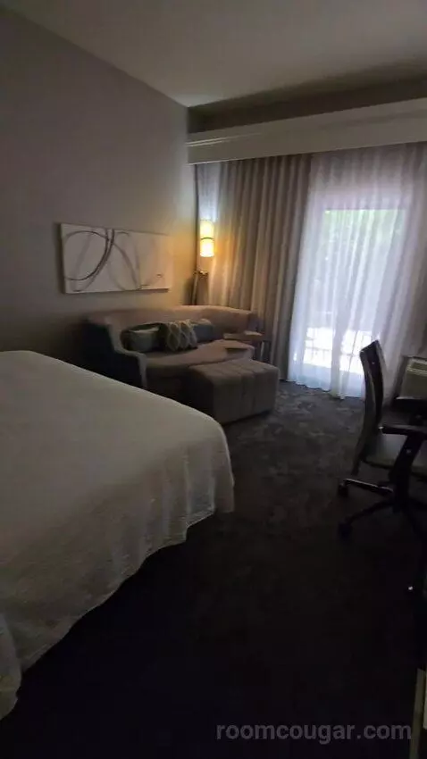 King Room with Sofa Bed (#105) picture #16