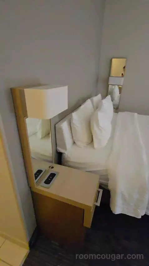 King Room with Sofa Bed (#105) picture #17