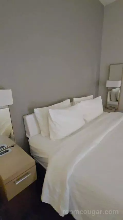 King Room with Sofa Bed (#105) bed picture #4