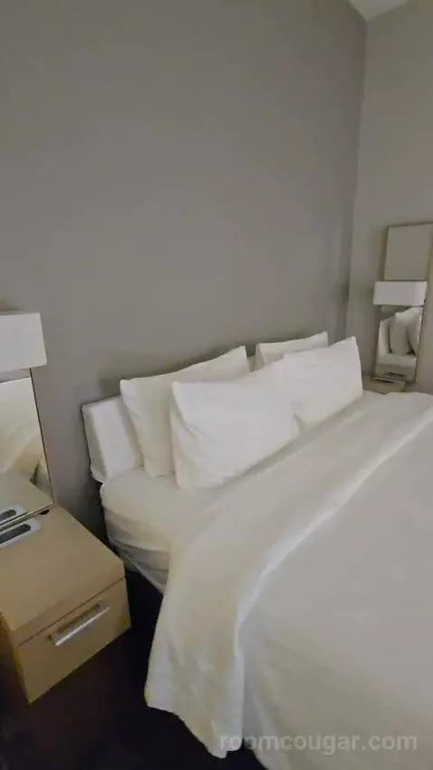 King Room with Sofa Bed (#105) picture #18