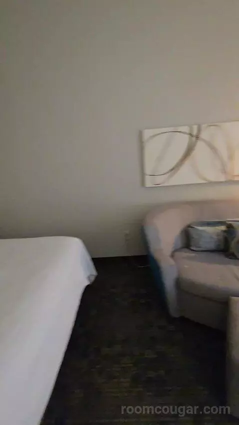 King Room with Sofa Bed (#105) picture #19