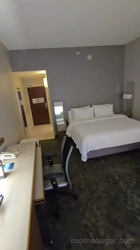 King Room with Sofa Bed (#105) picture #24