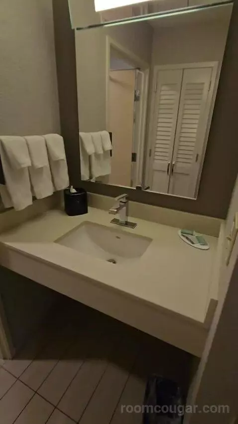 King Room with Sofa Bed (#105) bathroom picture #2