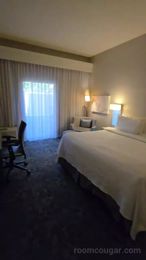 King Room, Accessible (#111) view picture #3