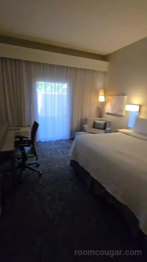 King Room, Accessible (#111) view picture #4