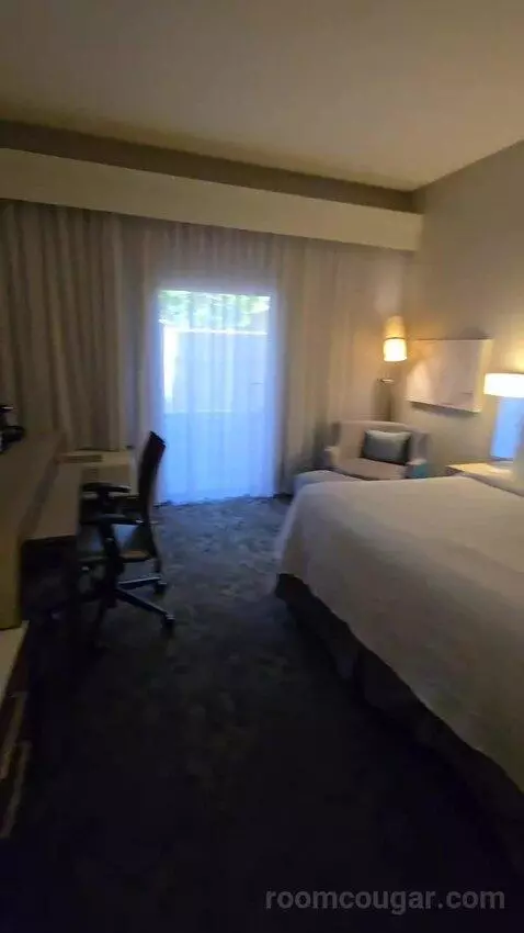 King Room, Accessible (#111) view picture #5